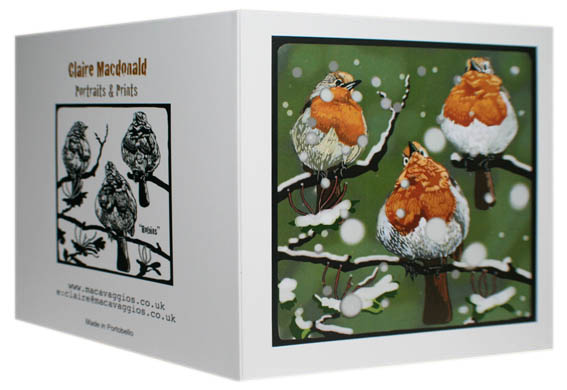 Christmas Robins card photo